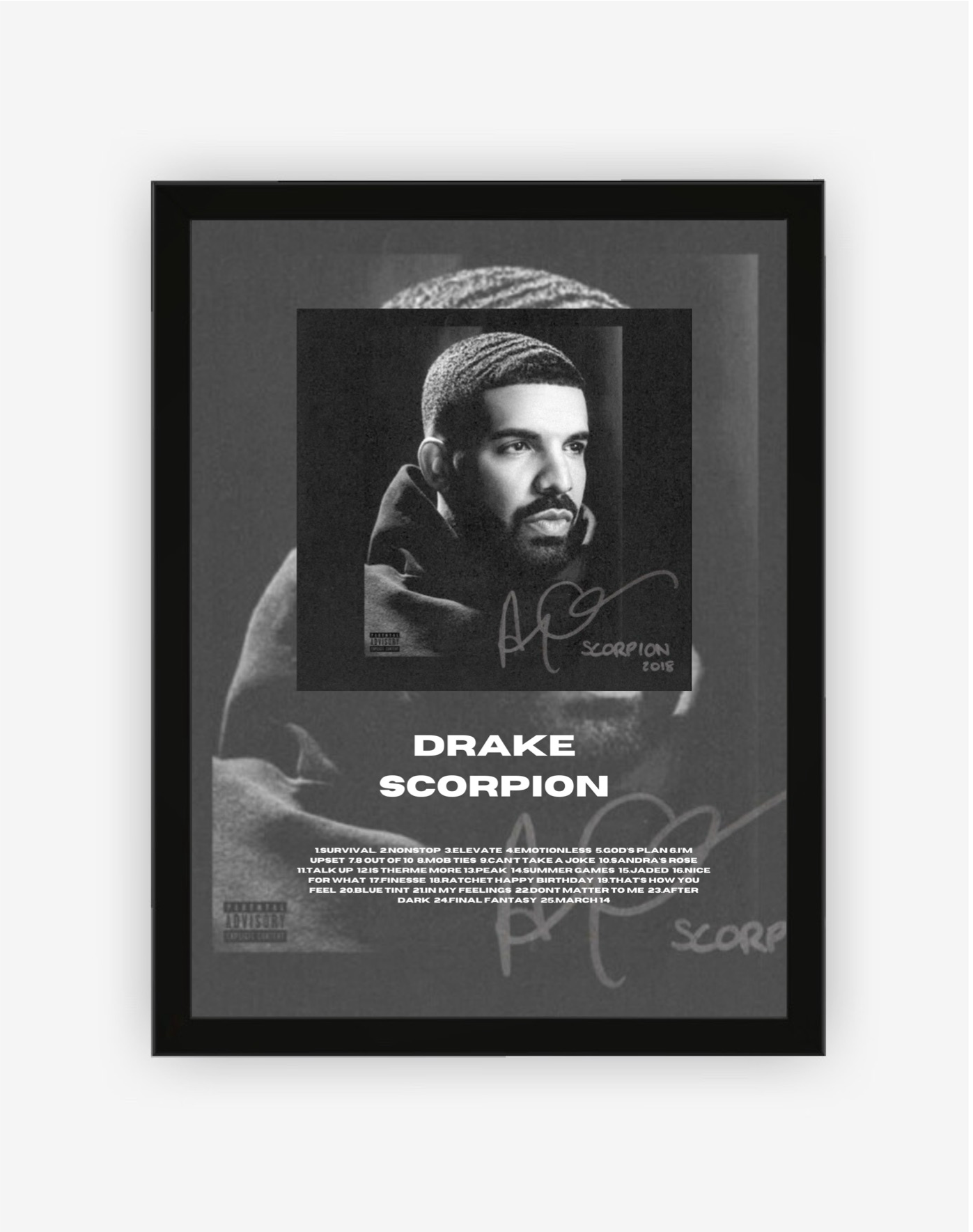 Drake Poster